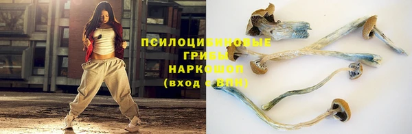 мяу мяу мука Белокуриха