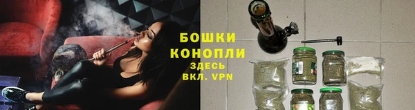 крисы Богородск