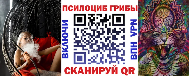Псилоцибиновые грибы GOLDEN TEACHER Куртамыш